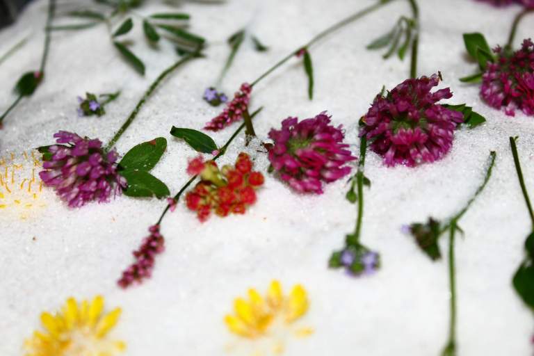 Winterizing Your Garden: Tips & Tricks for Buffalo Homeowners (Part 2)