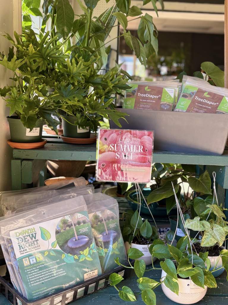 Late Summer Sale Happening NOW!