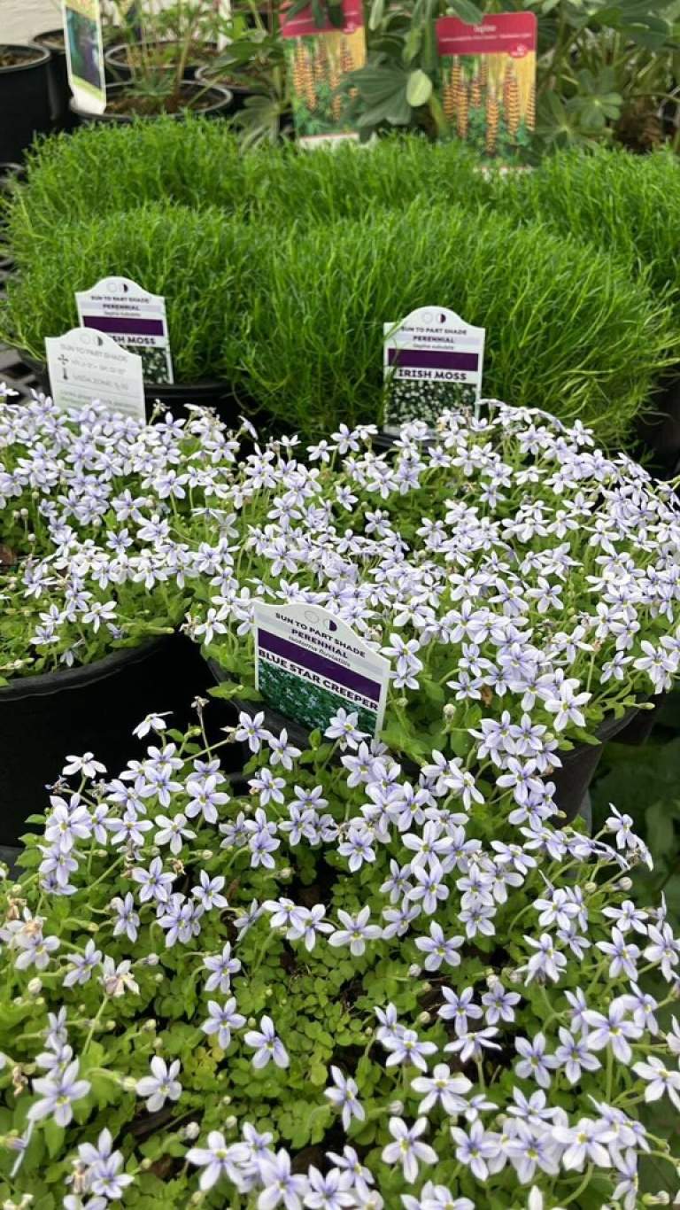 Bulk Material Delivery Service: Making Landscaping and Home Projects Easy